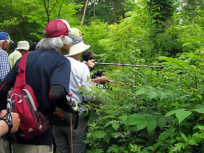 7月2日定例ウォーキング