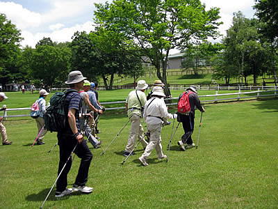 7月2日定例ウォーキング
