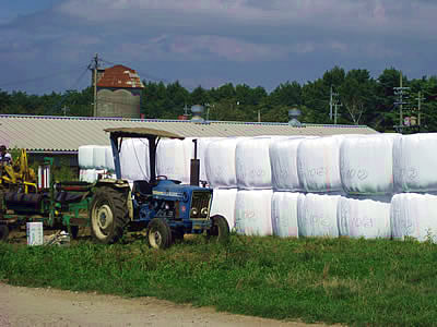 9月3日定例ウォーキング