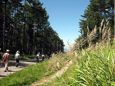 9月3日定例ウォーキング