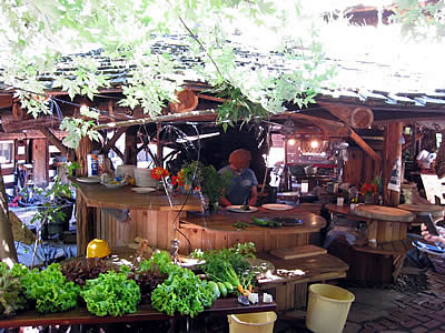 9月3日定例ウォーキング