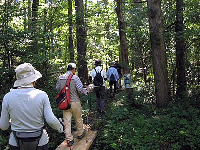 9月3日定例ウォーキング