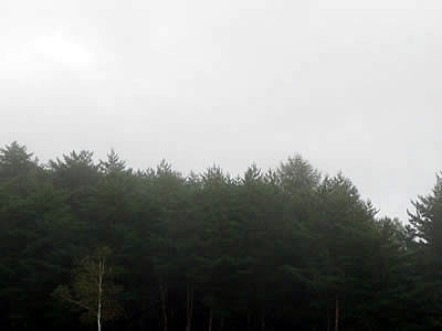 10月1日定例ウォーキング