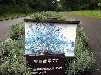 10月1日定例ウォーキング