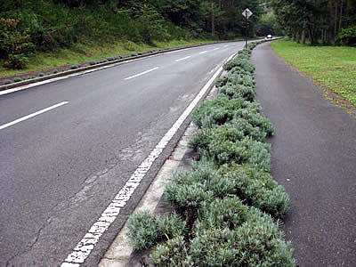 10月1日定例ウォーキング