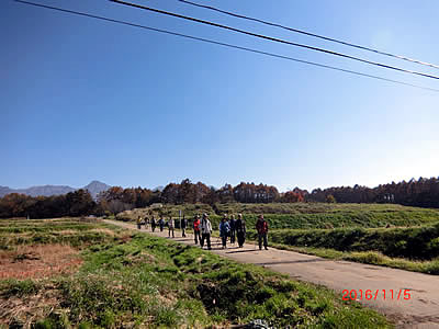 11月5日定例ウォーキング