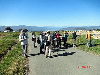 11月5日定例ウォーキング