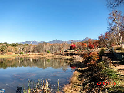 11月5日定例ウォーキング