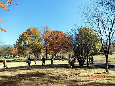 11月5日定例ウォーキング