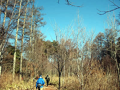 1月7日定例ウォーキング