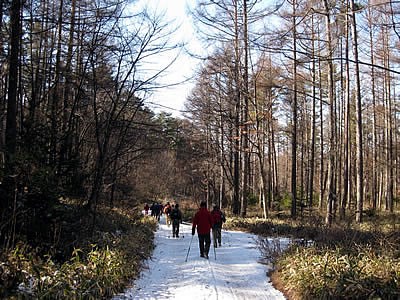 1月7日定例ウォーキング