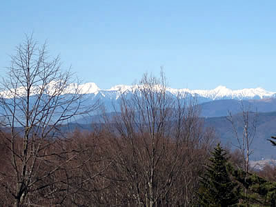 1月7日定例ウォーキング