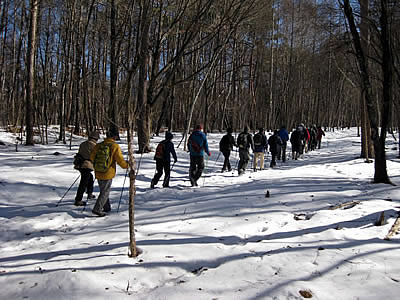 2月4日定例ウォーキング