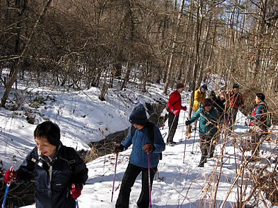 2月4日定例ウォーキング