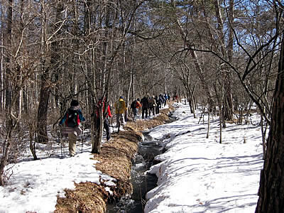 2月4日定例ウォーキング