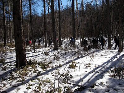 2月4日定例ウォーキング