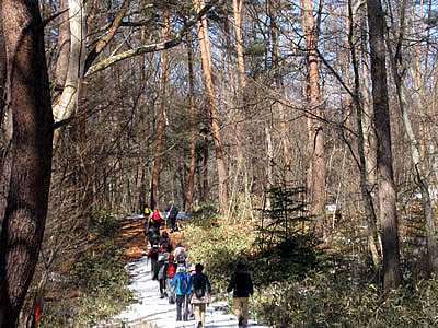 3月4日定例ウォーキング