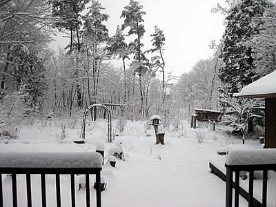 4月1日定例ウォーキング