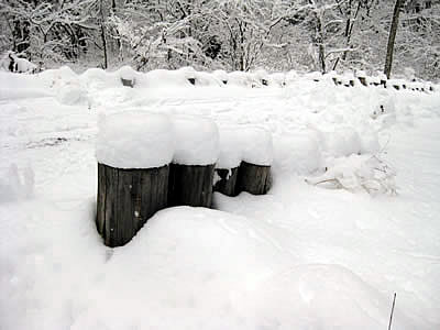 4月1日定例ウォーキング