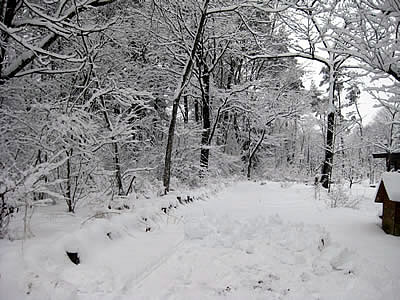 4月1日定例ウォーキング