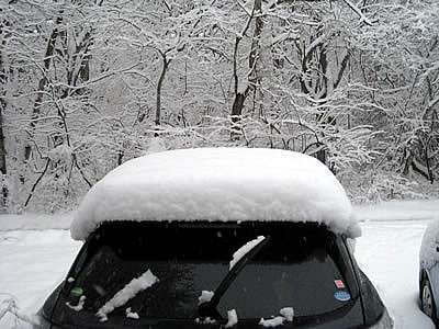 4月1日定例ウォーキング