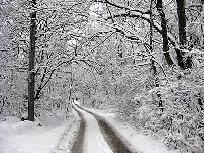 4月1日定例ウォーキング