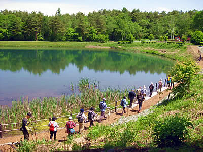 6月3日定例ウォーキング