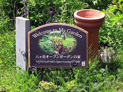 6月3日定例ウォーキング