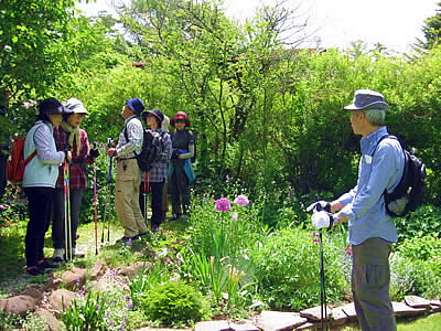 6月3日定例ウォーキング