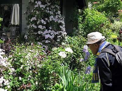 6月3日定例ウォーキング