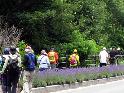 8月5日定例ウォーキング