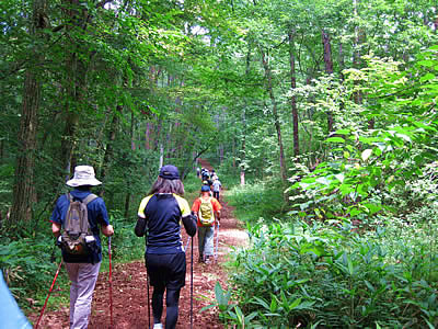 8月5日定例ウォーキング
