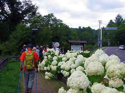 8月5日定例ウォーキング