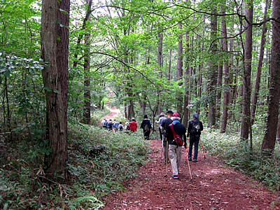 9月2日定例ウォーキング