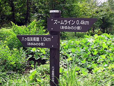 9月2日定例ウォーキング