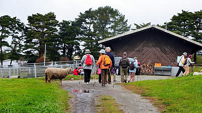 10月7日定例ウォーキング