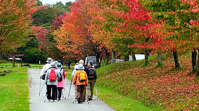 10月7日定例ウォーキング