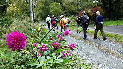 10月7日定例ウォーキング