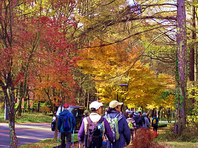 11月4日定例ウォーキング