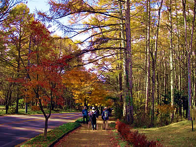 11月4日定例ウォーキング
