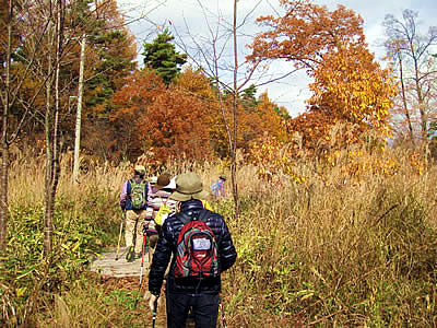 11月4日定例ウォーキング