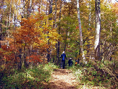 11月4日定例ウォーキング