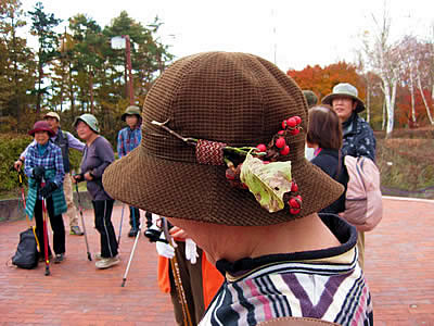 11月4日定例ウォーキング