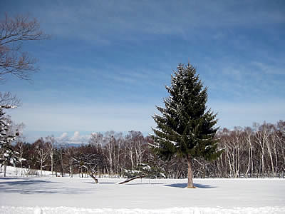 2月3日定例ウォーキング