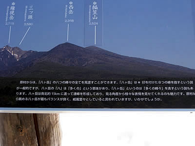 2月3日定例ウォーキング