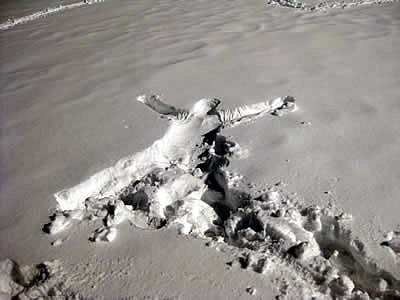 2月3日定例ウォーキング