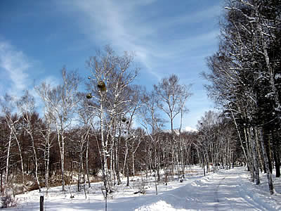 2月3日定例ウォーキング