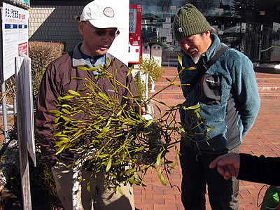 3月3日定例ウォーキング
