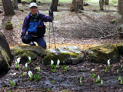 4月7日定例ウォーキング