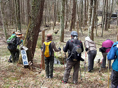 4月7日定例ウォーキング